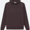 Plum Essentials Hoodie